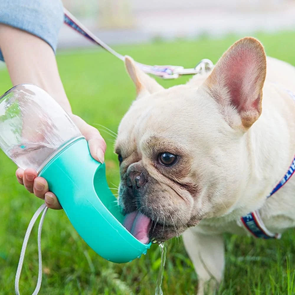 8.3 x 2.5-Inch Dog Water Bottle, 12 Oz Leak-Proof Portable Pet Water Dispenser with Drinking Feeder for Outdoor Activities - Food Grade Plastic, Blue