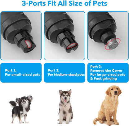 Professional Electric Dog Nail Grinder with Dual LED Lights - Updated 2-Speed Quiet and Painless Trimmer for Grooming Small, Medium, and Large Dogs and Cats (Grey)